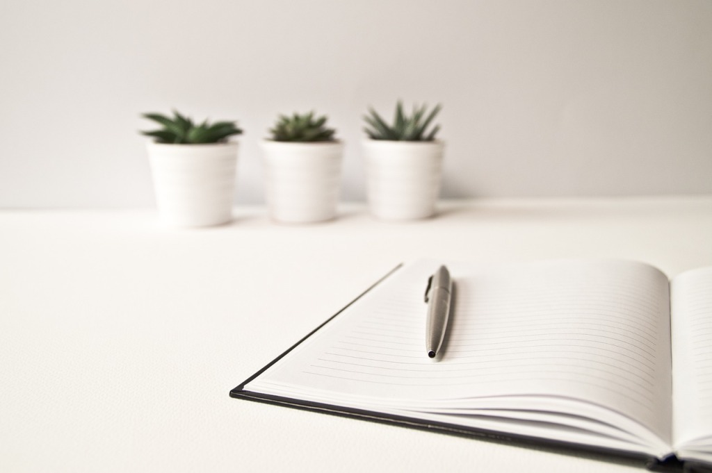 An open notebook with a pen sitting on top. Three succulent plants are in the background.
